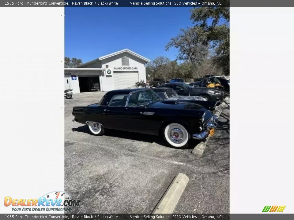 1955 Ford Thunderbird Convertible Raven Black / Black/White Photo #9