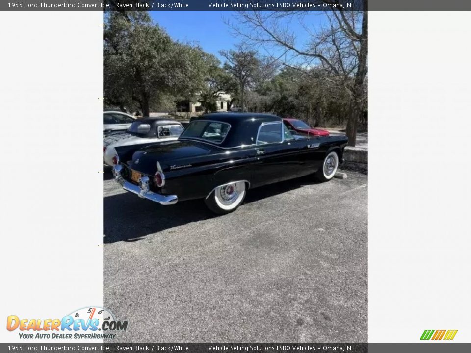 1955 Ford Thunderbird Convertible Raven Black / Black/White Photo #11