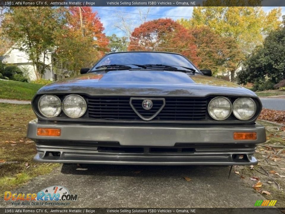 1981 Alfa Romeo GTV 6 Anthracite Metallic / Beige Photo #2