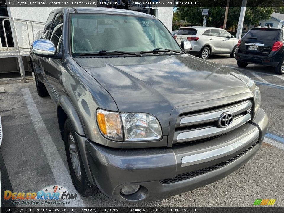 2003 Toyota Tundra SR5 Access Cab Phantom Gray Pearl / Gray Photo #3