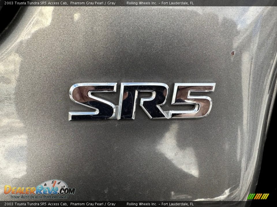 2003 Toyota Tundra SR5 Access Cab Phantom Gray Pearl / Gray Photo #4