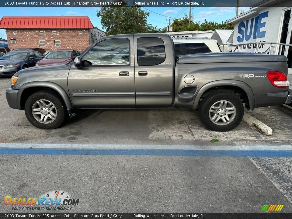 2003 Toyota Tundra SR5 Access Cab Phantom Gray Pearl / Gray Photo #5