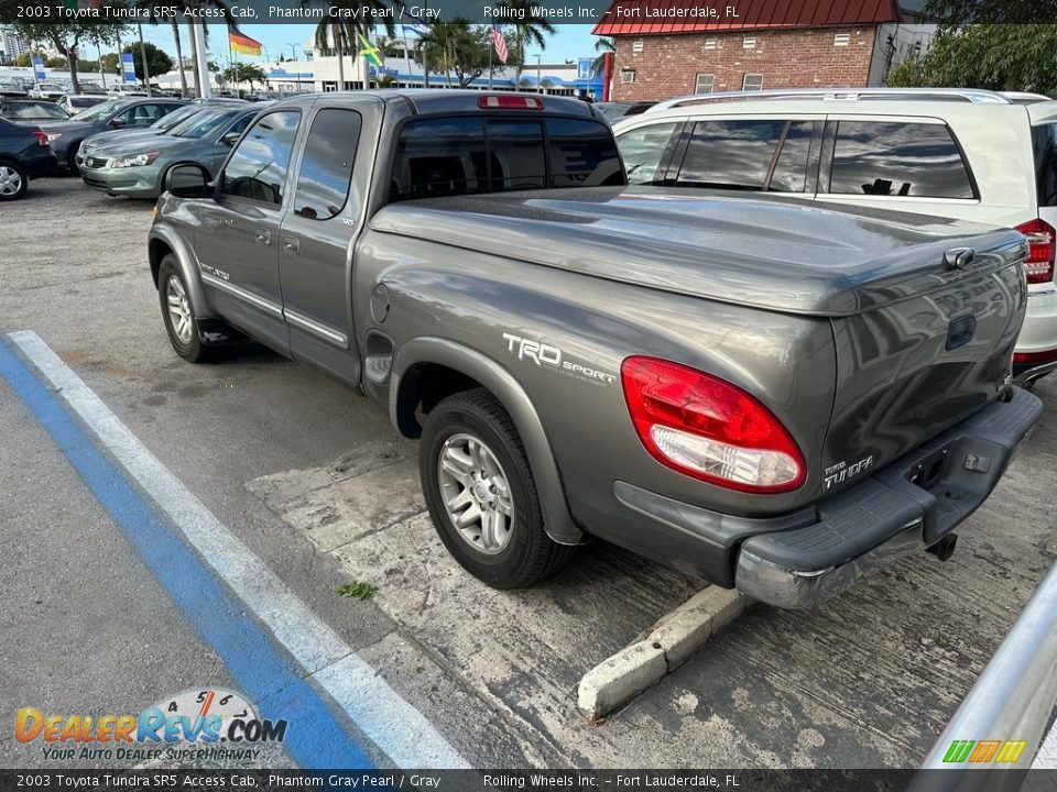 2003 Toyota Tundra SR5 Access Cab Phantom Gray Pearl / Gray Photo #6