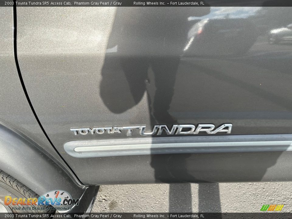 2003 Toyota Tundra SR5 Access Cab Phantom Gray Pearl / Gray Photo #7