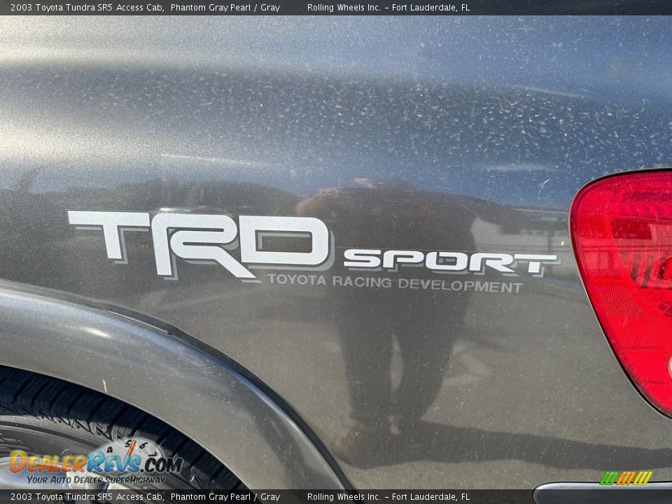 2003 Toyota Tundra SR5 Access Cab Phantom Gray Pearl / Gray Photo #8