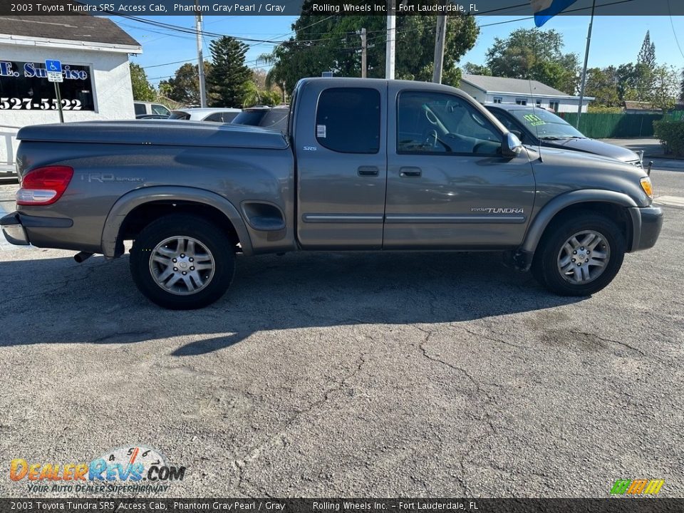 2003 Toyota Tundra SR5 Access Cab Phantom Gray Pearl / Gray Photo #10