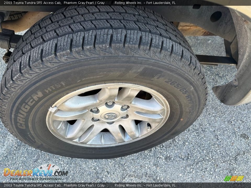 2003 Toyota Tundra SR5 Access Cab Phantom Gray Pearl / Gray Photo #11