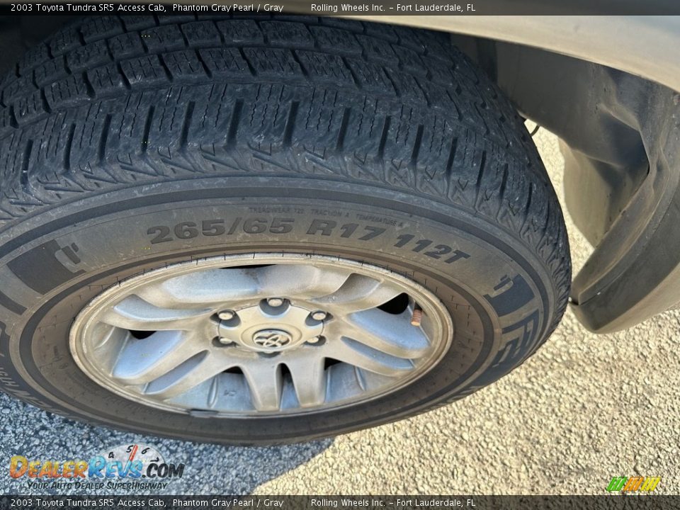 2003 Toyota Tundra SR5 Access Cab Phantom Gray Pearl / Gray Photo #12