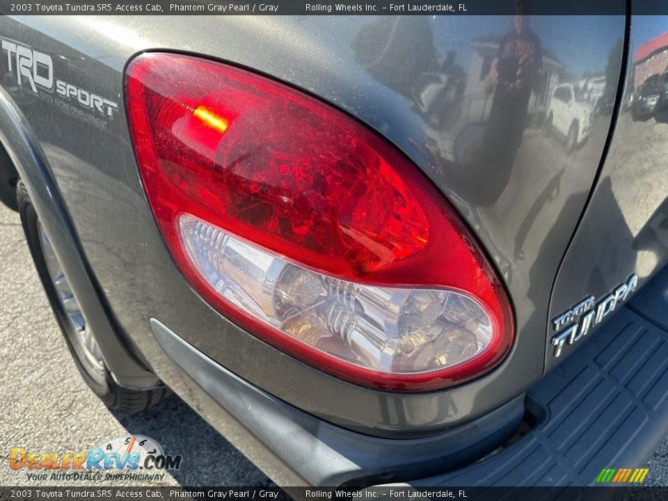 2003 Toyota Tundra SR5 Access Cab Phantom Gray Pearl / Gray Photo #14