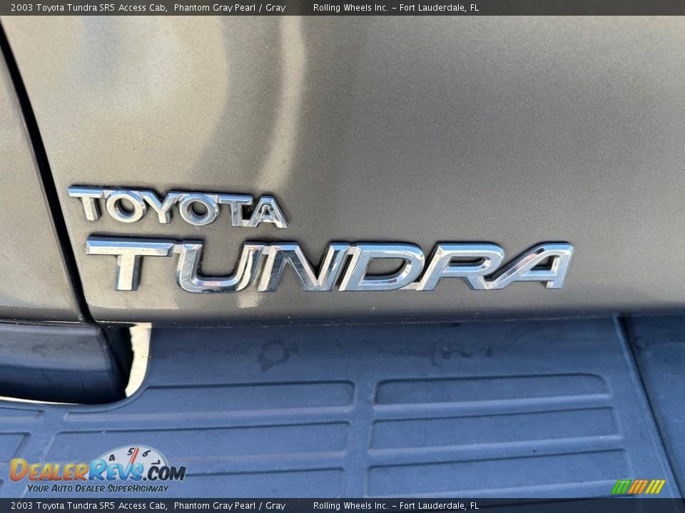 2003 Toyota Tundra SR5 Access Cab Phantom Gray Pearl / Gray Photo #15