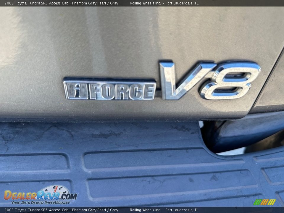 2003 Toyota Tundra SR5 Access Cab Phantom Gray Pearl / Gray Photo #17
