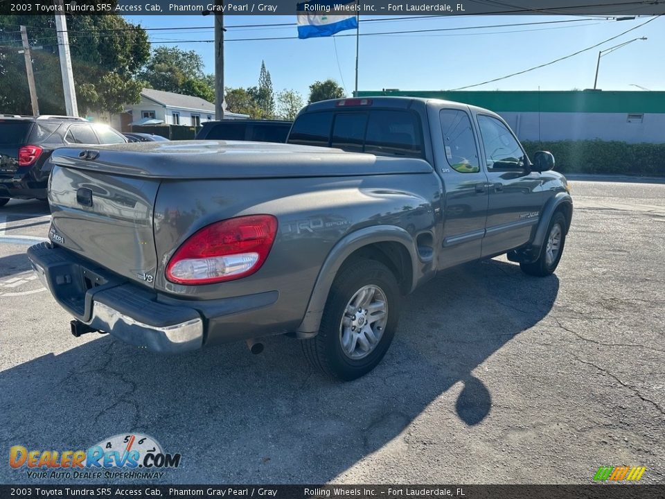 2003 Toyota Tundra SR5 Access Cab Phantom Gray Pearl / Gray Photo #34