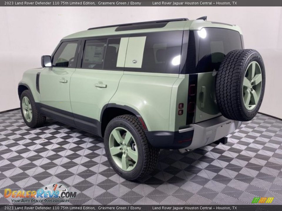 2023 Land Rover Defender 110 75th Limited Edition Grasmere Green / Ebony Photo #10