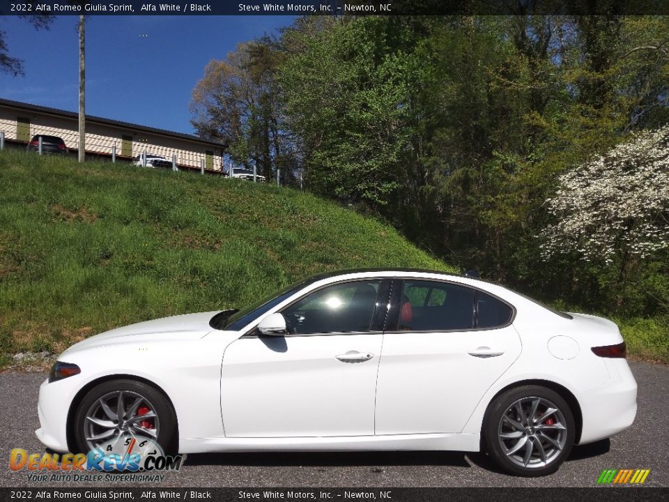 2022 Alfa Romeo Giulia Sprint Alfa White / Black Photo #1