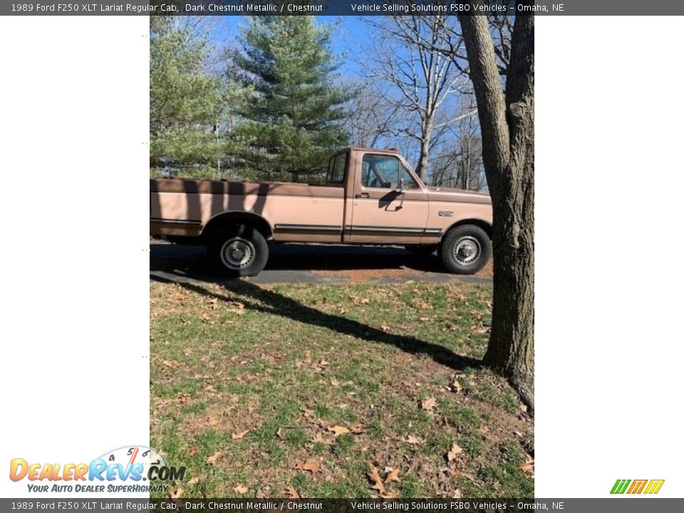 Dark Chestnut Metallic 1989 Ford F250 XLT Lariat Regular Cab Photo #4