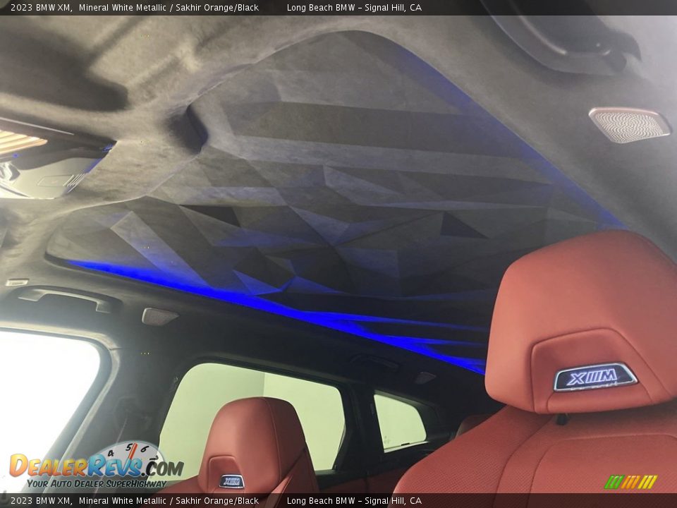 Sunroof of 2023 BMW XM  Photo #25