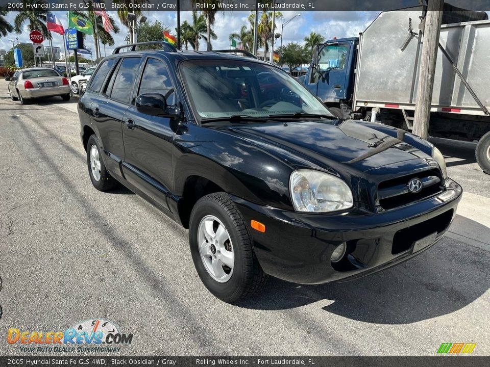 2005 Hyundai Santa Fe GLS 4WD Black Obsidian / Gray Photo #2