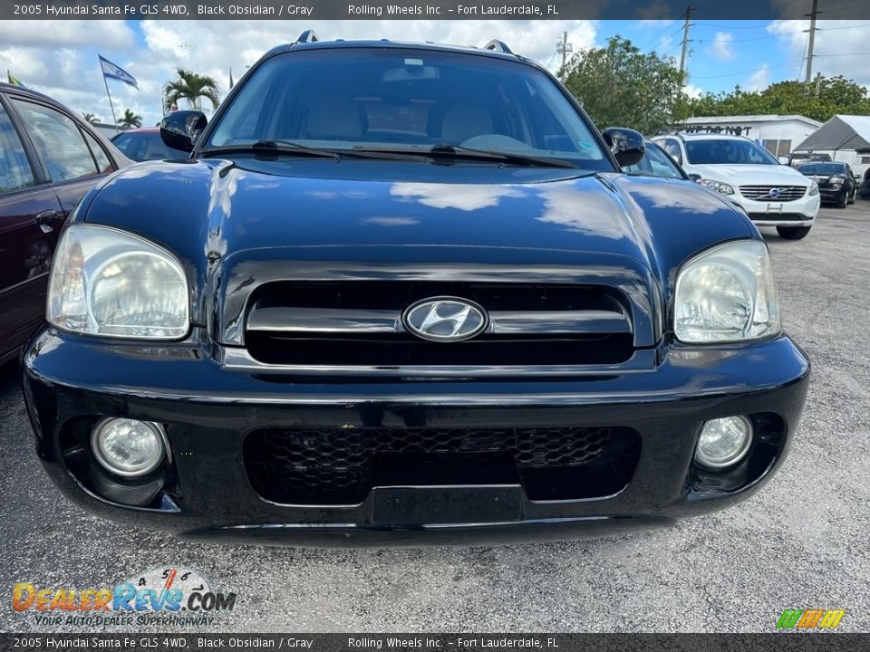 2005 Hyundai Santa Fe GLS 4WD Black Obsidian / Gray Photo #5
