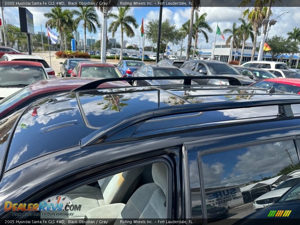 2005 Hyundai Santa Fe GLS 4WD Black Obsidian / Gray Photo #10