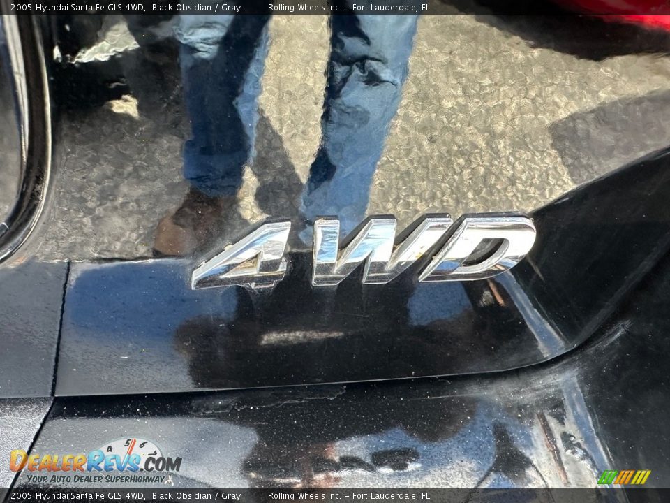 2005 Hyundai Santa Fe GLS 4WD Black Obsidian / Gray Photo #18