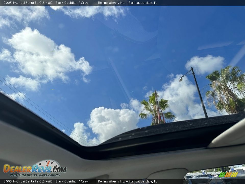 2005 Hyundai Santa Fe GLS 4WD Black Obsidian / Gray Photo #20