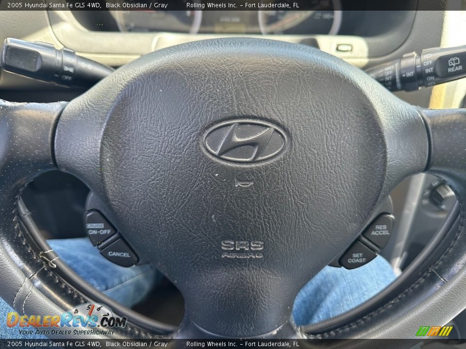 2005 Hyundai Santa Fe GLS 4WD Black Obsidian / Gray Photo #23