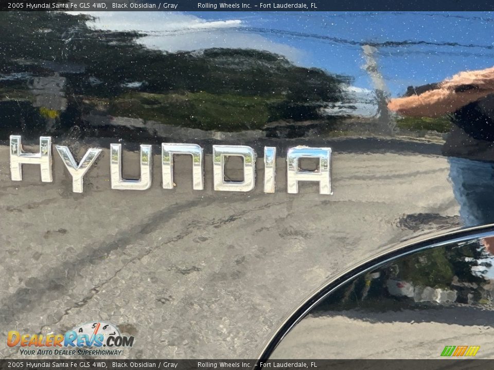 2005 Hyundai Santa Fe GLS 4WD Black Obsidian / Gray Photo #27