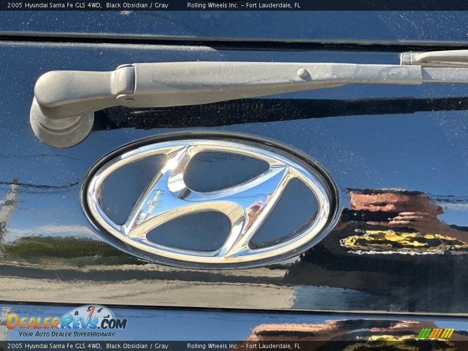 2005 Hyundai Santa Fe GLS 4WD Black Obsidian / Gray Photo #28