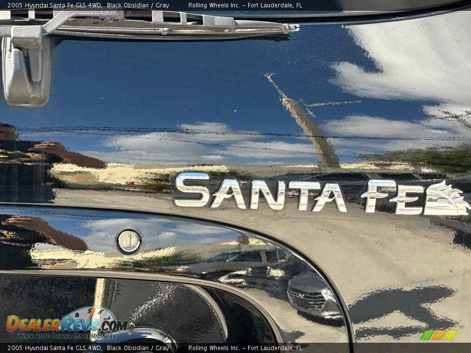 2005 Hyundai Santa Fe GLS 4WD Black Obsidian / Gray Photo #29
