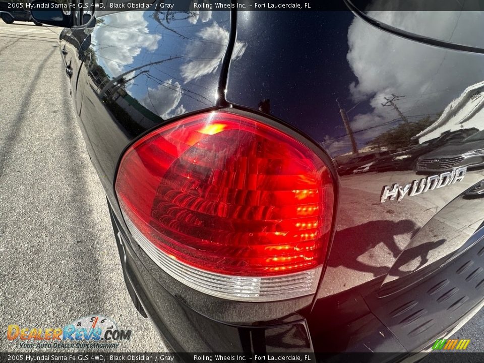 2005 Hyundai Santa Fe GLS 4WD Black Obsidian / Gray Photo #30