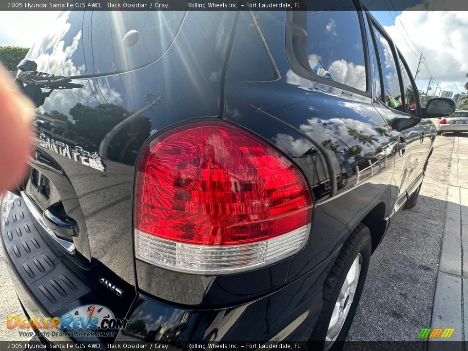 2005 Hyundai Santa Fe GLS 4WD Black Obsidian / Gray Photo #31