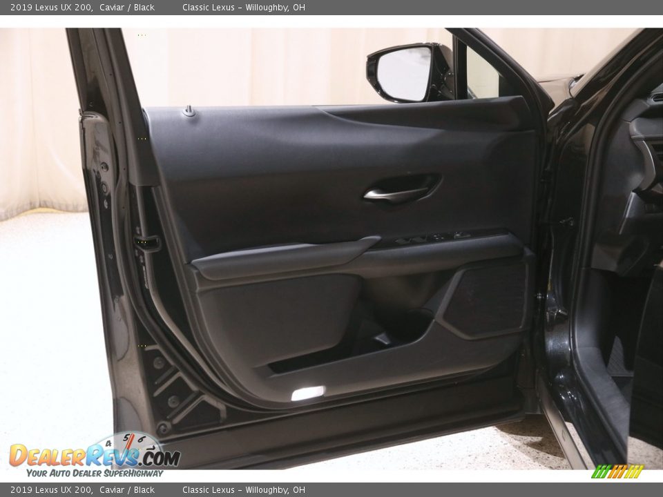 Door Panel of 2019 Lexus UX 200 Photo #4