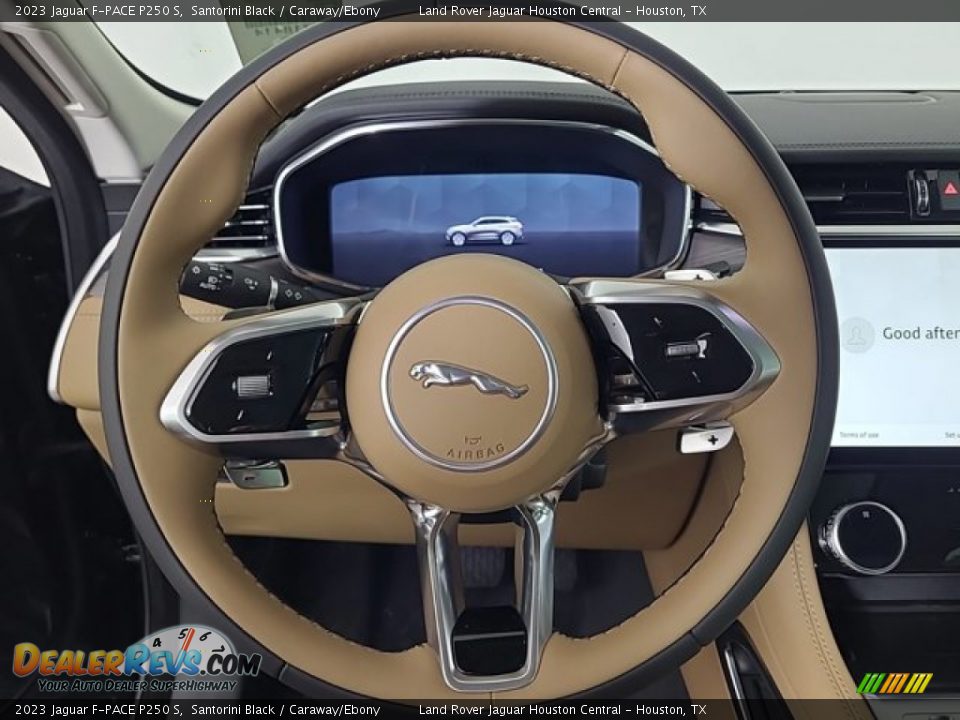 2023 Jaguar F-PACE P250 S Steering Wheel Photo #16