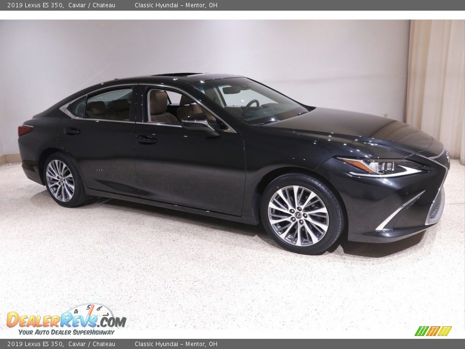 2019 Lexus ES 350 Caviar / Chateau Photo #1