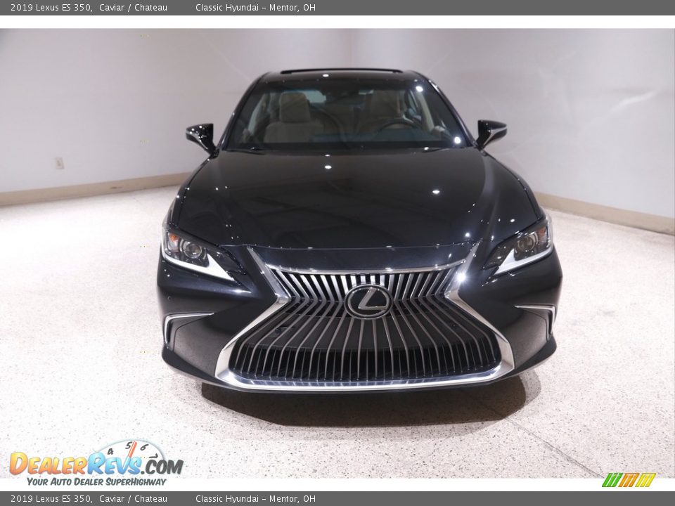 2019 Lexus ES 350 Caviar / Chateau Photo #2