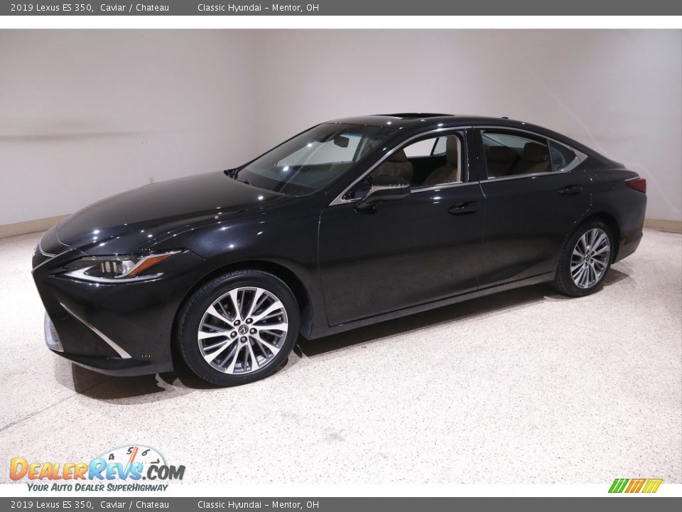 2019 Lexus ES 350 Caviar / Chateau Photo #3