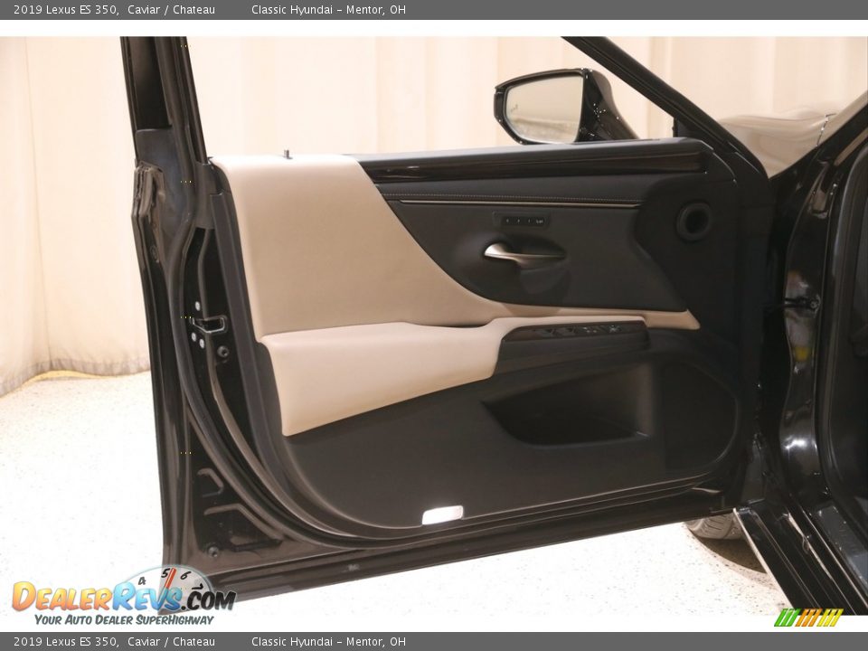 2019 Lexus ES 350 Caviar / Chateau Photo #4