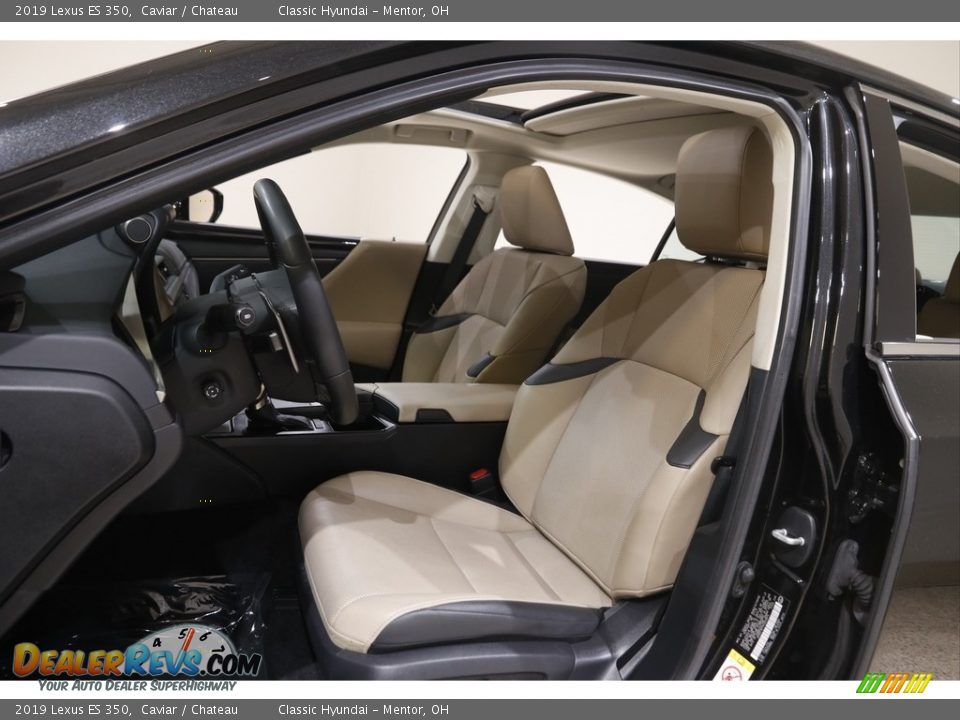 2019 Lexus ES 350 Caviar / Chateau Photo #5
