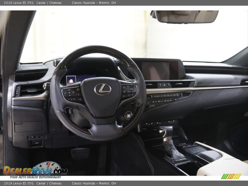 2019 Lexus ES 350 Caviar / Chateau Photo #6