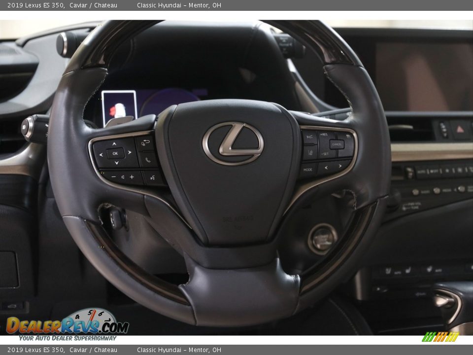2019 Lexus ES 350 Caviar / Chateau Photo #7