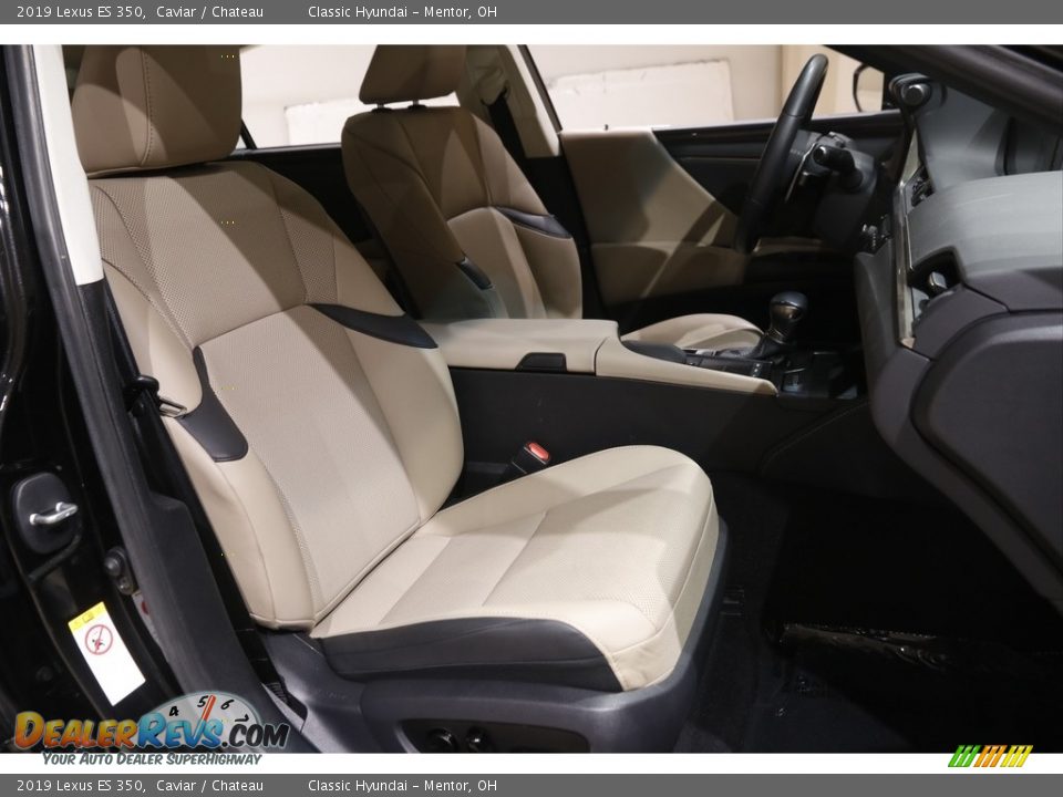 2019 Lexus ES 350 Caviar / Chateau Photo #17