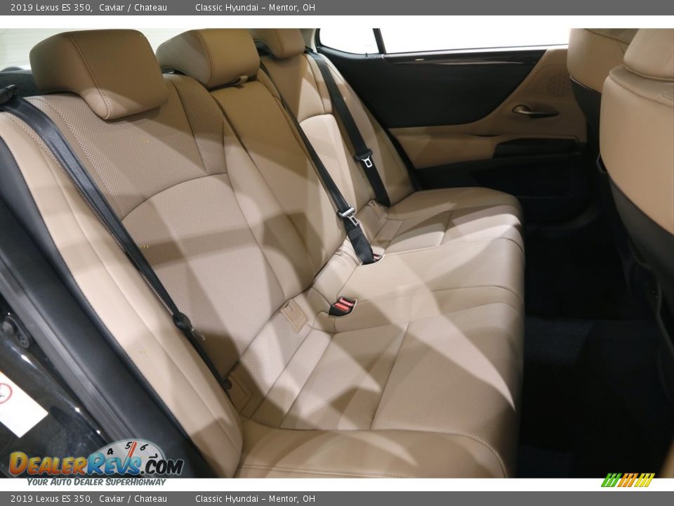 2019 Lexus ES 350 Caviar / Chateau Photo #18