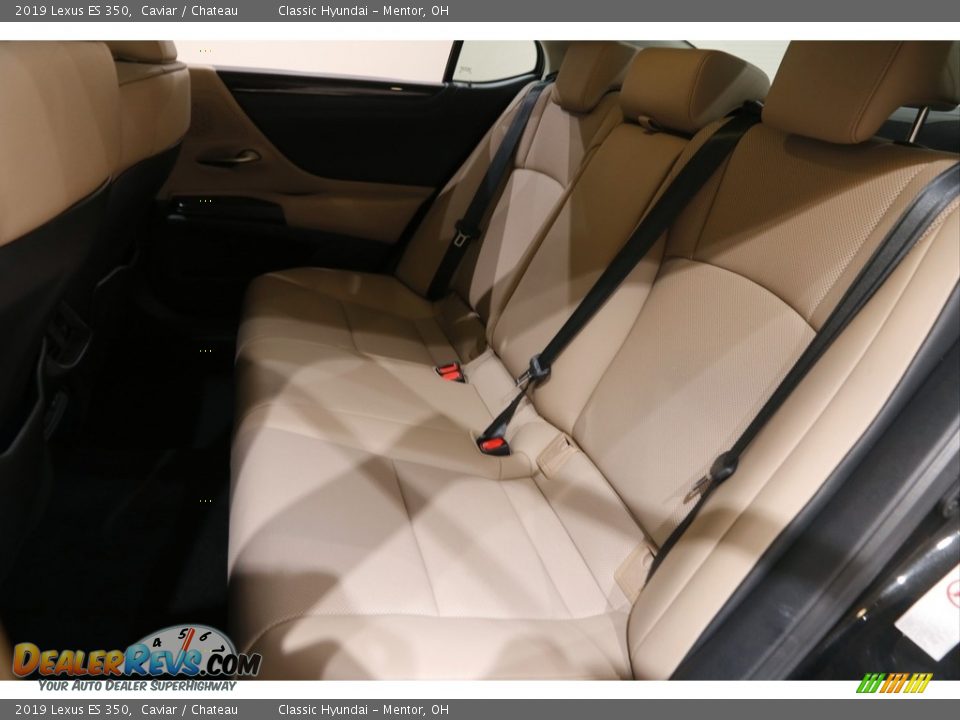 2019 Lexus ES 350 Caviar / Chateau Photo #19