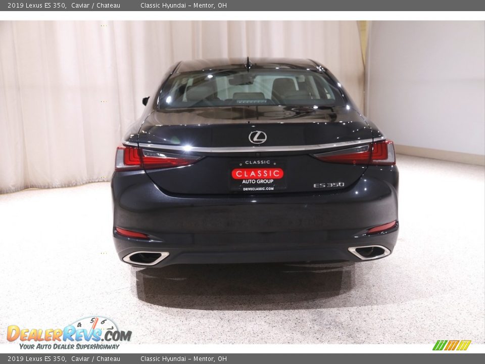 2019 Lexus ES 350 Caviar / Chateau Photo #20