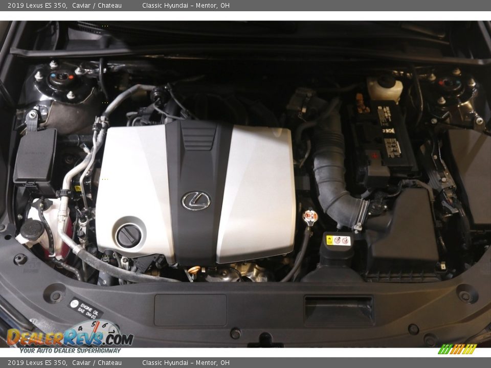 2019 Lexus ES 350 Caviar / Chateau Photo #21