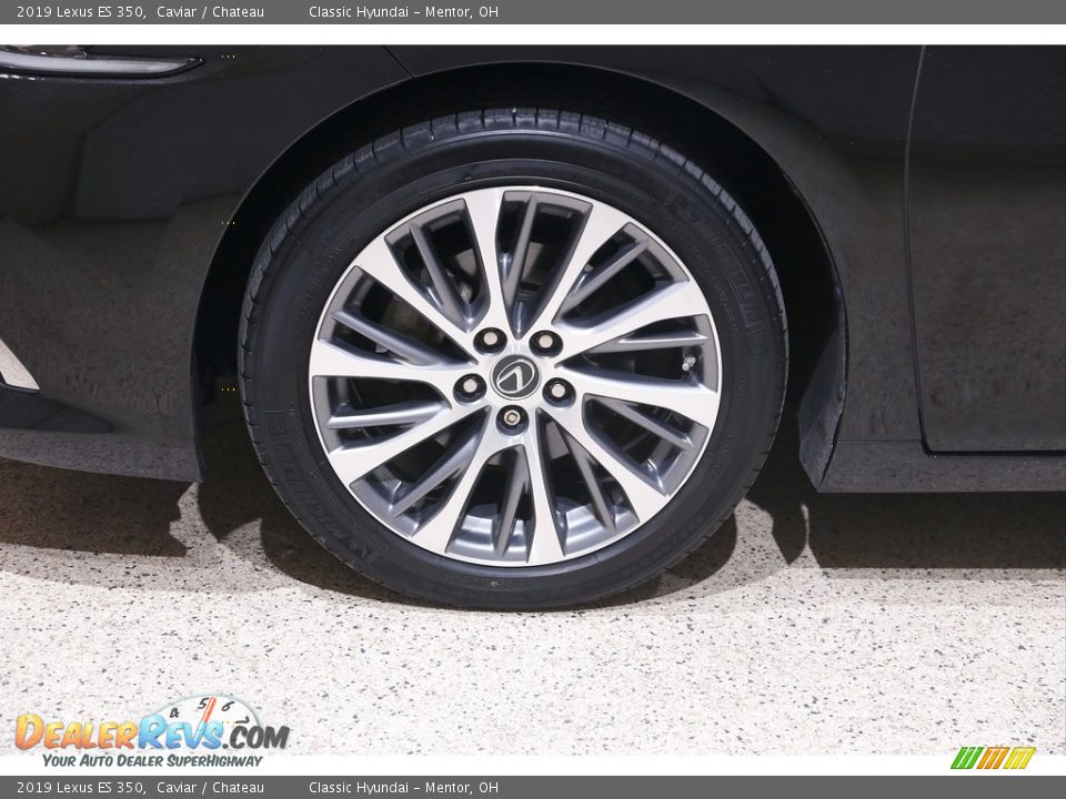 2019 Lexus ES 350 Caviar / Chateau Photo #22