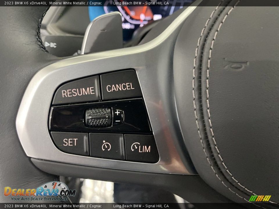 2023 BMW X6 xDrive40i Steering Wheel Photo #18