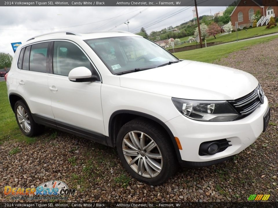 2014 Volkswagen Tiguan SEL 4Motion Candy White / Black Photo #1