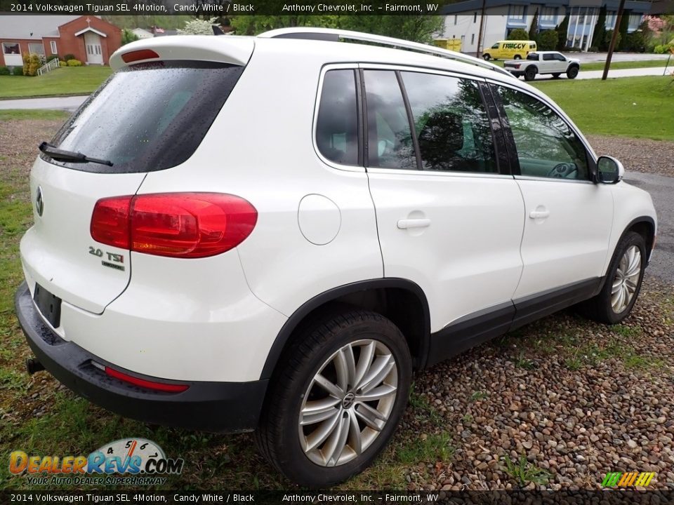 2014 Volkswagen Tiguan SEL 4Motion Candy White / Black Photo #2