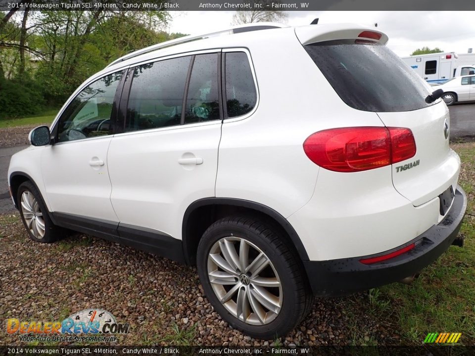 2014 Volkswagen Tiguan SEL 4Motion Candy White / Black Photo #3